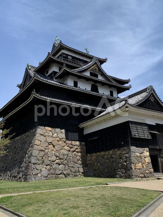 青空にそびえる国宝「松江城」 城,松江城,国宝の写真素材