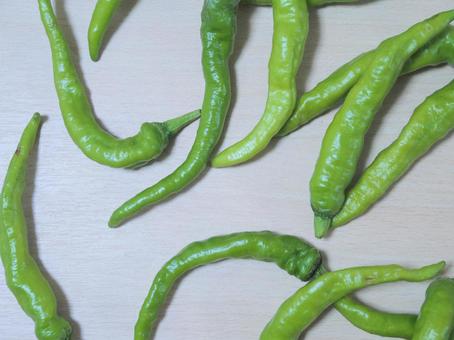 Photo, vegetables, summer vegetables, shishito, 