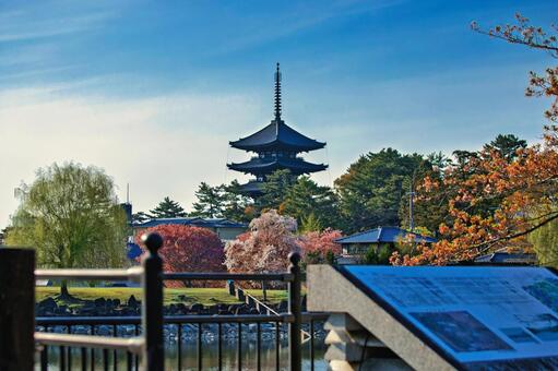 五重塔を望む池越しの奈良市の風景 奈良,五重塔,荒池の写真素材