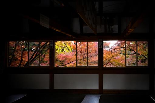 窓の外は紅葉 紅葉,窓,木造の写真素材