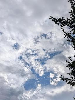 夏空 夏空の写真