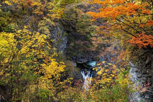 秋の鳳鳴四十八滝⑾ 秋,紅葉,滝の写真素材