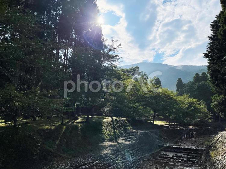 木漏れ日が差し込む山間の渓流 森,渓流,川の写真素材