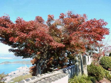 【風景写真】因島 白滝山の風景 因島,白滝山,山頂の写真素材