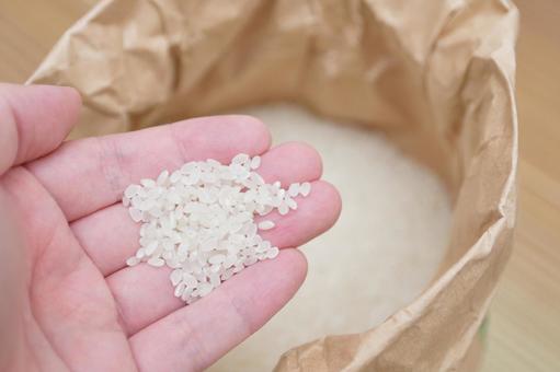 手のひらに広がる新米の白さ 白米,新米,精白米の写真素材