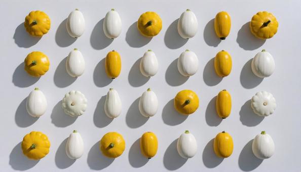 ズッキーニや野菜 ズッキーニや野菜の写真