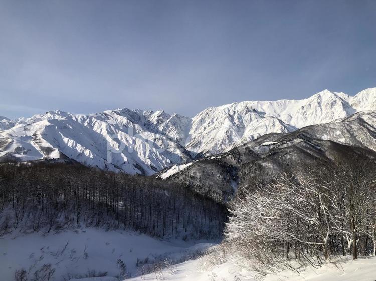 スキー場　ゲレンデ風景　白馬村 スキー場,ゲレンデ,風景の写真素材