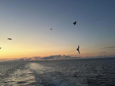 黄昏時 海,夕暮れ,日本海の写真素材
