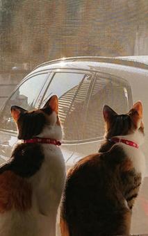 ドライブに行きたいわねの写真