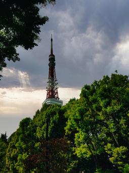 東京タワーの写真