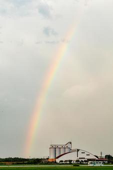 雨上がりの虹の様子 雨上がりの虹の様子の写真