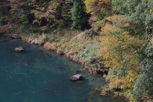 秋の数馬峡 秋の数馬峡の写真