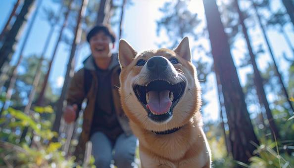 清々しい空気の森を笑顔で走る犬と飼い主 清々しい空気の森を笑顔で走る犬と飼い主の写真