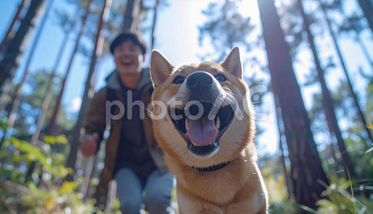 清々しい空気の森を笑顔で走る犬と飼い主 犬,飼い主,走るの写真素材