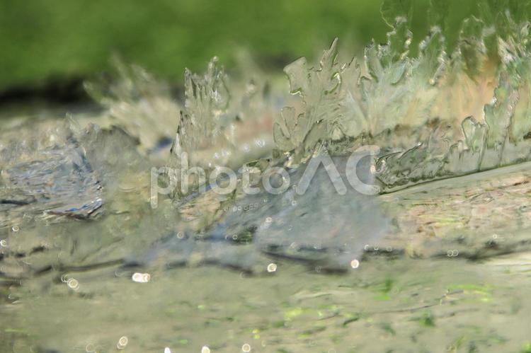 厳冬の朝にバケツの中で成長していた氷 氷,冬,凍結の写真素材