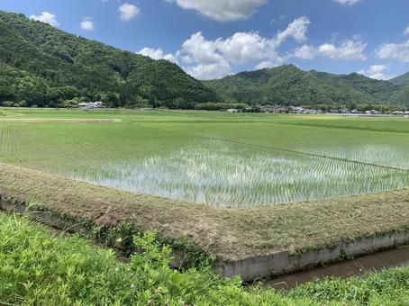 田園風景 田園風景 田園,田んぼ,山の写真素材