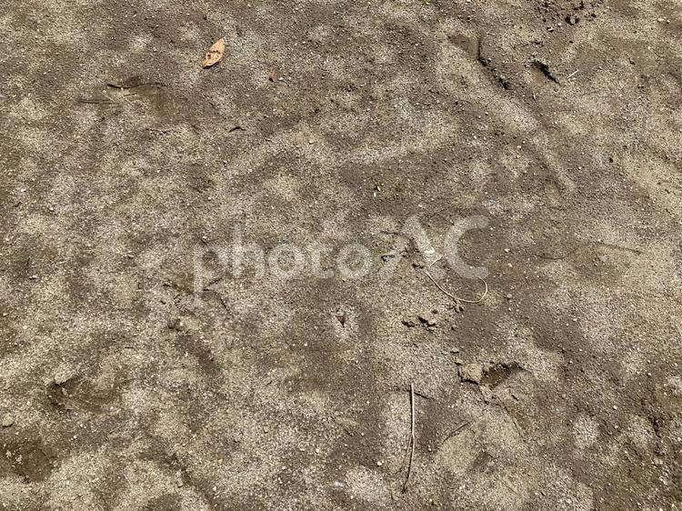 雨が降った後の地面模様テクスチャー 地面,模様,テクスチャーの写真素材
