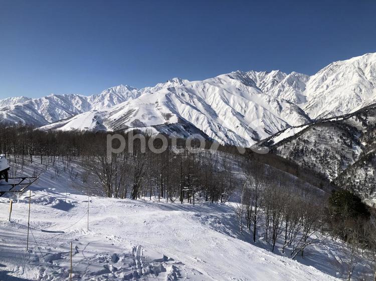 冠雪した北アルプスの山並み　長野県白馬村 冠雪,北アルプス,長野県の写真素材