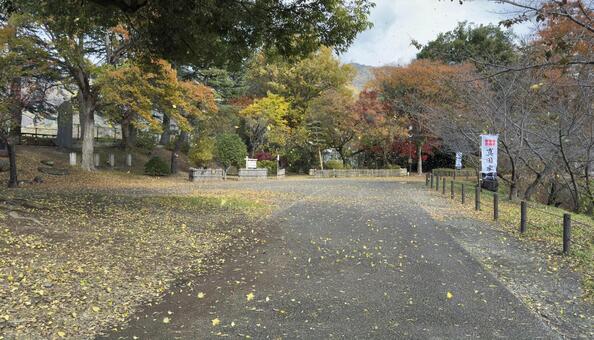 銀杏の紅葉と落ち葉が風邪で舞う　上田城　 木の実,落葉,落ち葉の写真素材