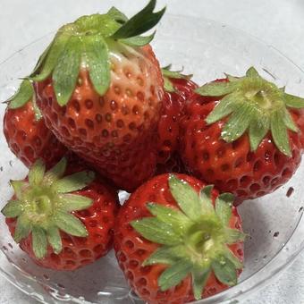 いちご いちごの写真