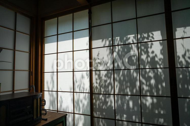 光が差し込む和室の障子 和室,和イメージ,障子の写真素材