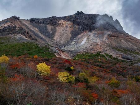 紅葉の姥ヶ平 紅葉の姥ヶ平の写真