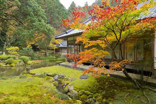 千如寺大悲王院 千如寺大悲王院の写真