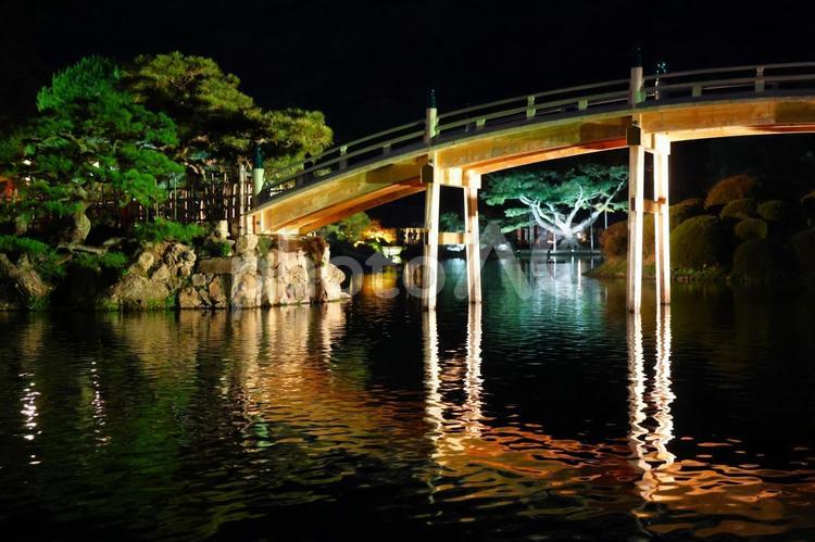 １１月下旬の栗林公園の紅葉のライトアップ 背景,紅葉,葉の写真素材