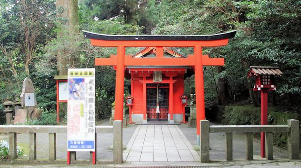 夏の朝の箱根神社参道脇の曽我神社 夏の朝の箱根神社参道脇の曽我神社 曽我神社,お参り,夏の写真素材