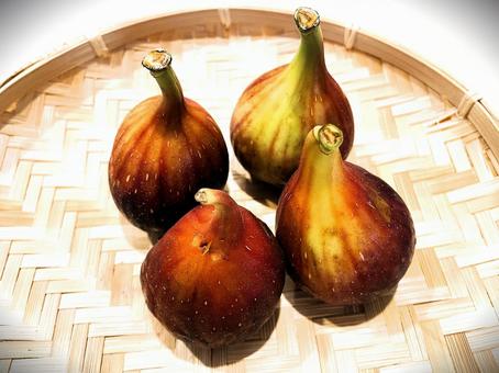 いちじく(無花果)の果実5 いちじく(無花果)の果実5の写真