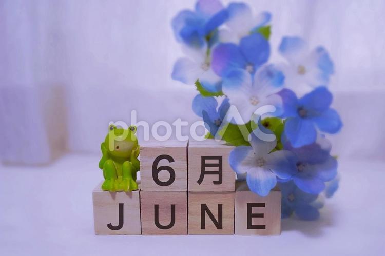６月イメージ背景、カエルと紫陽花 6月,june,カレンダーの写真素材