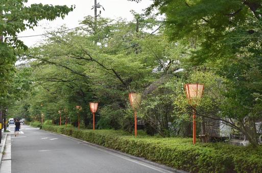 夏の京都 高瀬川 夏の京都 高瀬川 風景,京都,高瀬川の写真素材