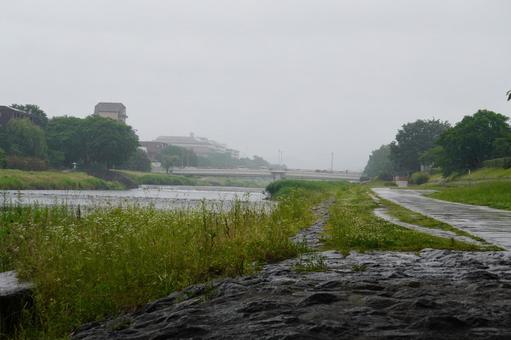 京都 鴨川の風景 京都 鴨川の風景の写真