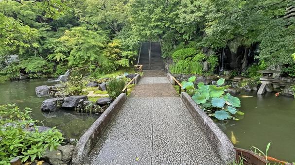 坂東33観音 04番 長谷寺 池と参道 坂東33観音 04番 長谷寺 池と参道 長谷寺,海光山,慈照院の写真素材