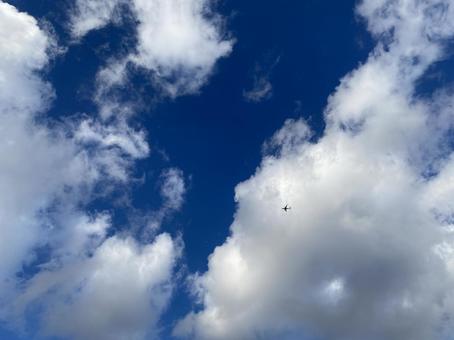 青空と雲と小さな飛行機 ブルースカイ,空,晴の写真素材