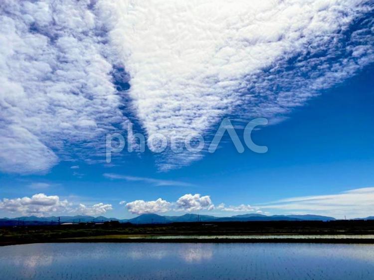 田舎の風景・田んぼと春の空 空,夏,田舎の写真素材