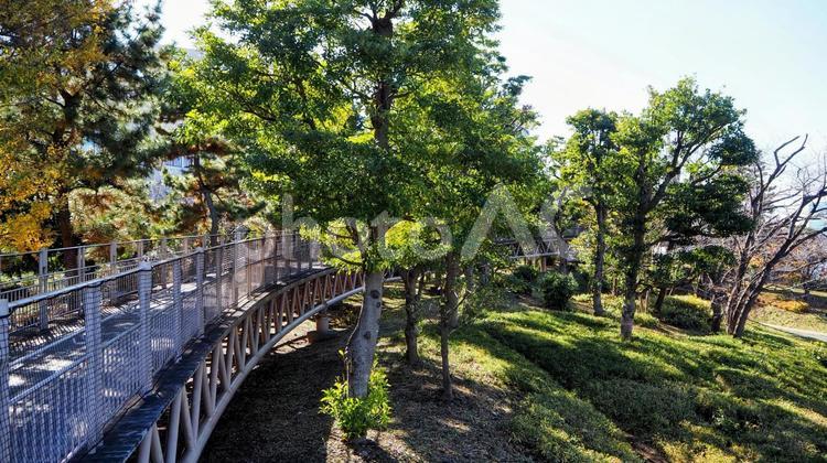 お台場海浜公園の散歩道（東京都・お台場） 冬,お台場海浜公園,散歩道の写真素材