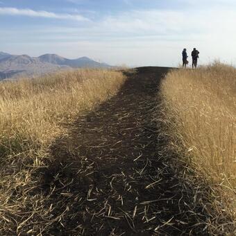 ラピュタの道 ラピュタの道,山,自然の写真素材