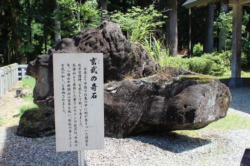 玄武の奇石 玄武の奇石の写真