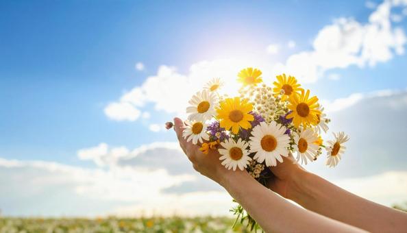 自然光が照らす花を持つ手元アップ 自然光が照らす花を持つ手元アップの写真