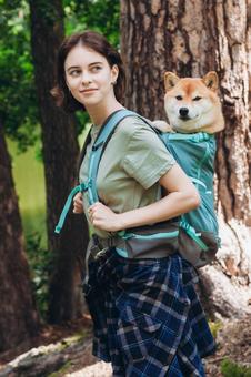 犬を背負って木の横に立つ女性 女性,犬,柴犬の写真素材