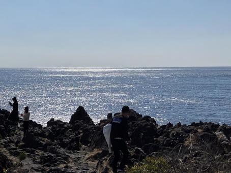 海 海の写真