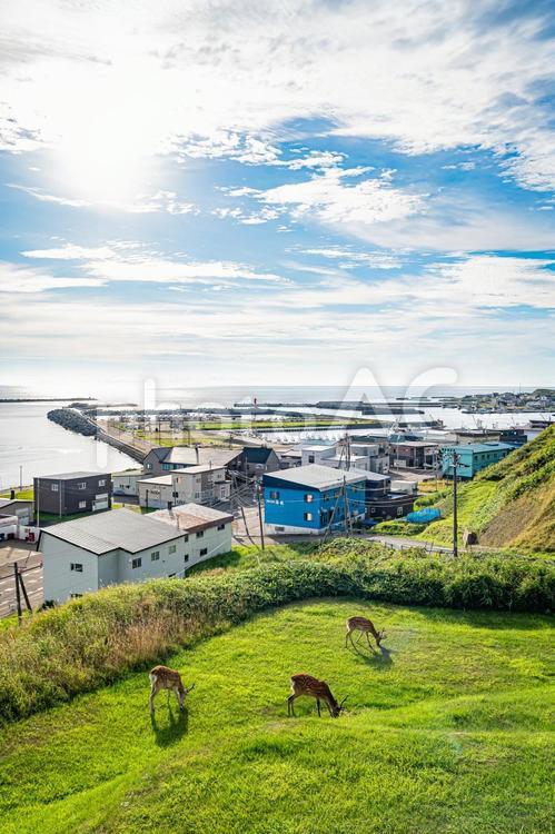 北海道　宗谷丘陵の風景 北海道,宗谷,宗谷丘陵の写真素材