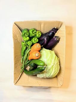 野菜の詰め合わせ 野菜の詰め合わせの写真