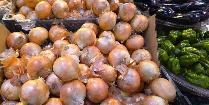 ごろごろ玉ねぎ ごろごろ玉ねぎ 野菜,玉ねぎ,淡色野菜の写真素材