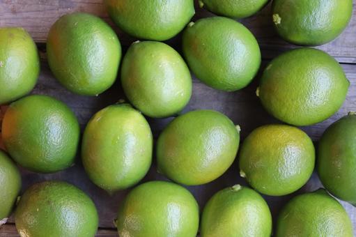 マイヤーレモン マイヤーレモン,国産レモン,レモンの写真素材