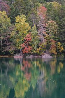 オンネトーの紅葉の写真