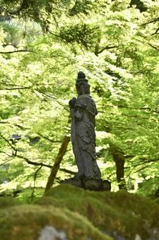 2025年夏の永平寺 木陰の仏像 2025年夏の永平寺 木陰の仏像 木陰,仏様,お堂の写真素材