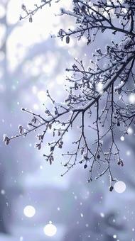 雪のつもる枝がきらめく 冬の風景 雪のつもる枝がきらめく 冬の風景の写真