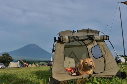 愛犬と車で富士山を見ながらキャンプ 愛犬と車で富士山を見ながらキャンプの写真
